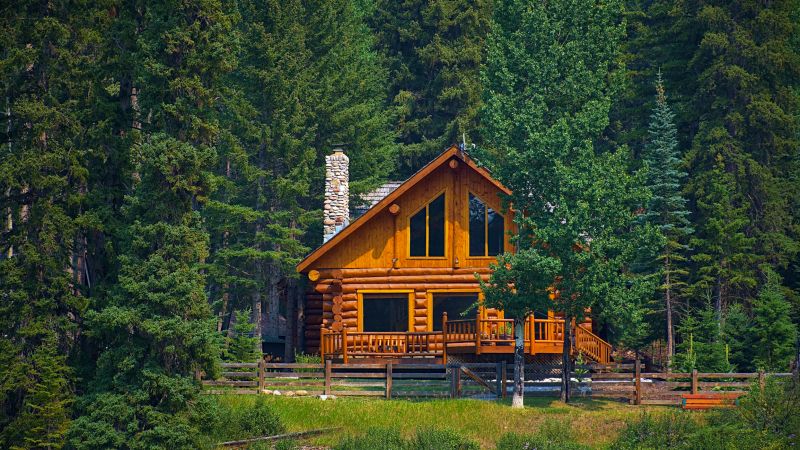 Log Cabin in a Natural Setting
